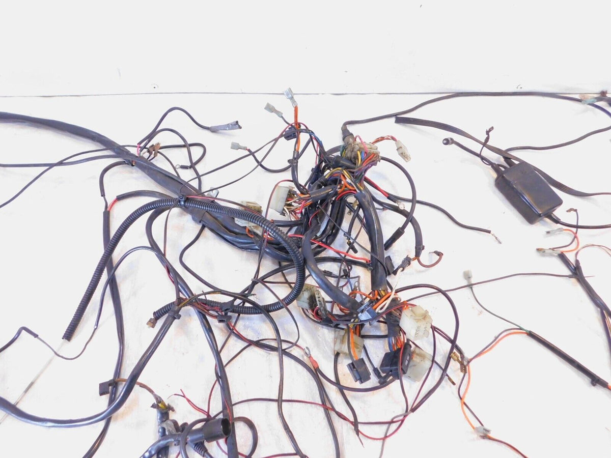 Harley Davidson Touring Electra Glide Classic Main Wire Wiring Harness Loom Lot - C3 Cycle