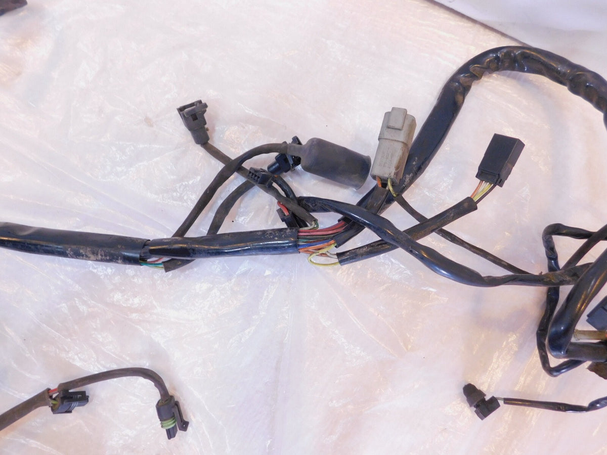 01-02 Harley Davidson Softail Heritage Classic & Fat Boy EFI Wire Wiring Harness - C3 Cycle