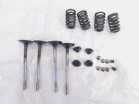 Victory Vision Kingpin & Vegas Intake/Exhast Valves w/ Springs & Retainer Seats - C3 Cycle