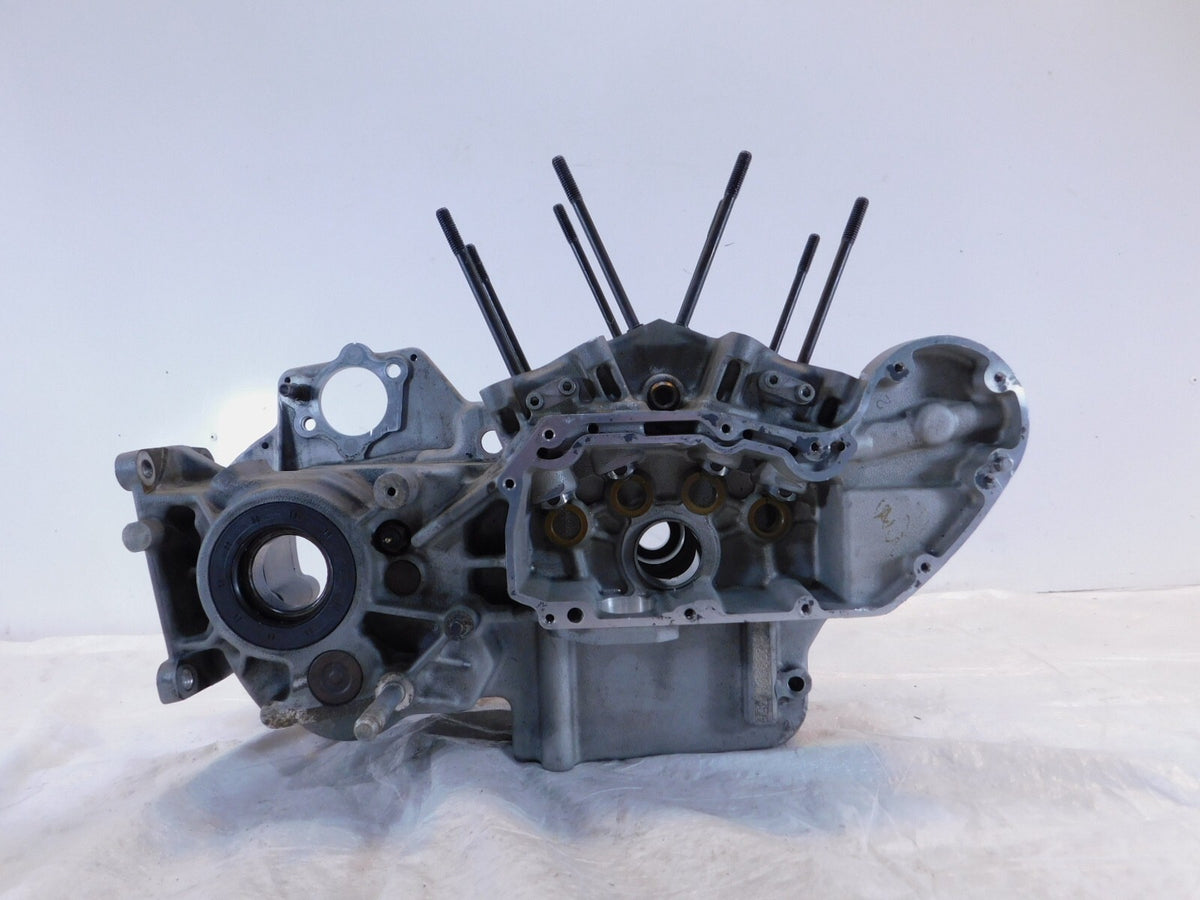 Buell M2 Cyclone S3 Thunderbolt & X1 Lightning Engine Motor Crankcases Cases