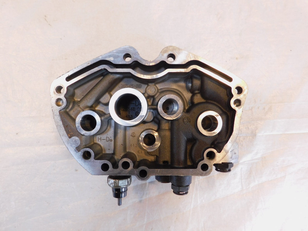2008 2009 & 2010 Buell XB XB9 XB12 Firebolt Lighting & Ulysses Oil Pump & Gears - C3 Cycle