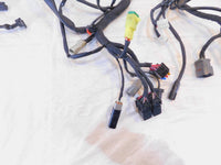 2015 & 2016 Harley Davidson Street 500 750 XG500 XG750 Wiring Wire Harness Loom - C3 Cycle