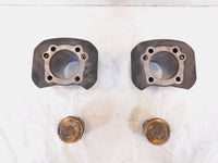 Harley Davidson Sportster 1200 48 Forty-Eight Engine Cylinders Barrel & Pistons