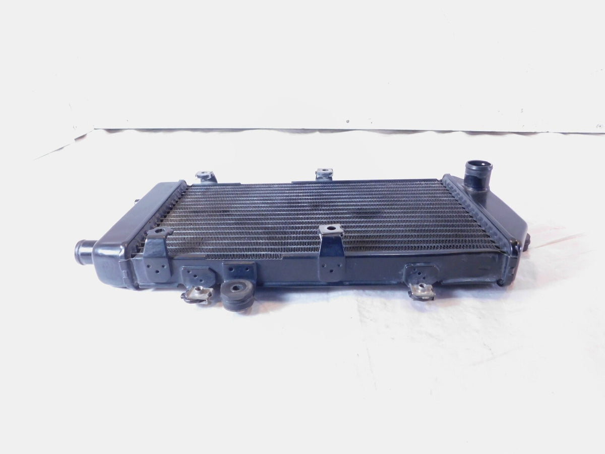 2006-2022 Kawasaki Vulcan 900 VN900 Classic & LT Custom Engine Cooling Radiator - C3 Cycle