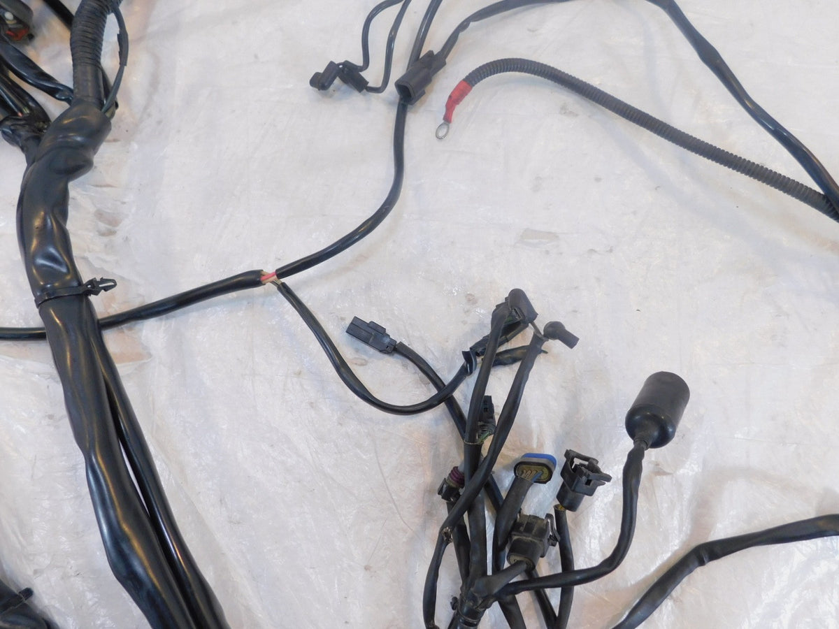 Harley Davidson Touring Road & Electra Glide Main & EFI Wiring Wire Harness Loom - C3 Cycle