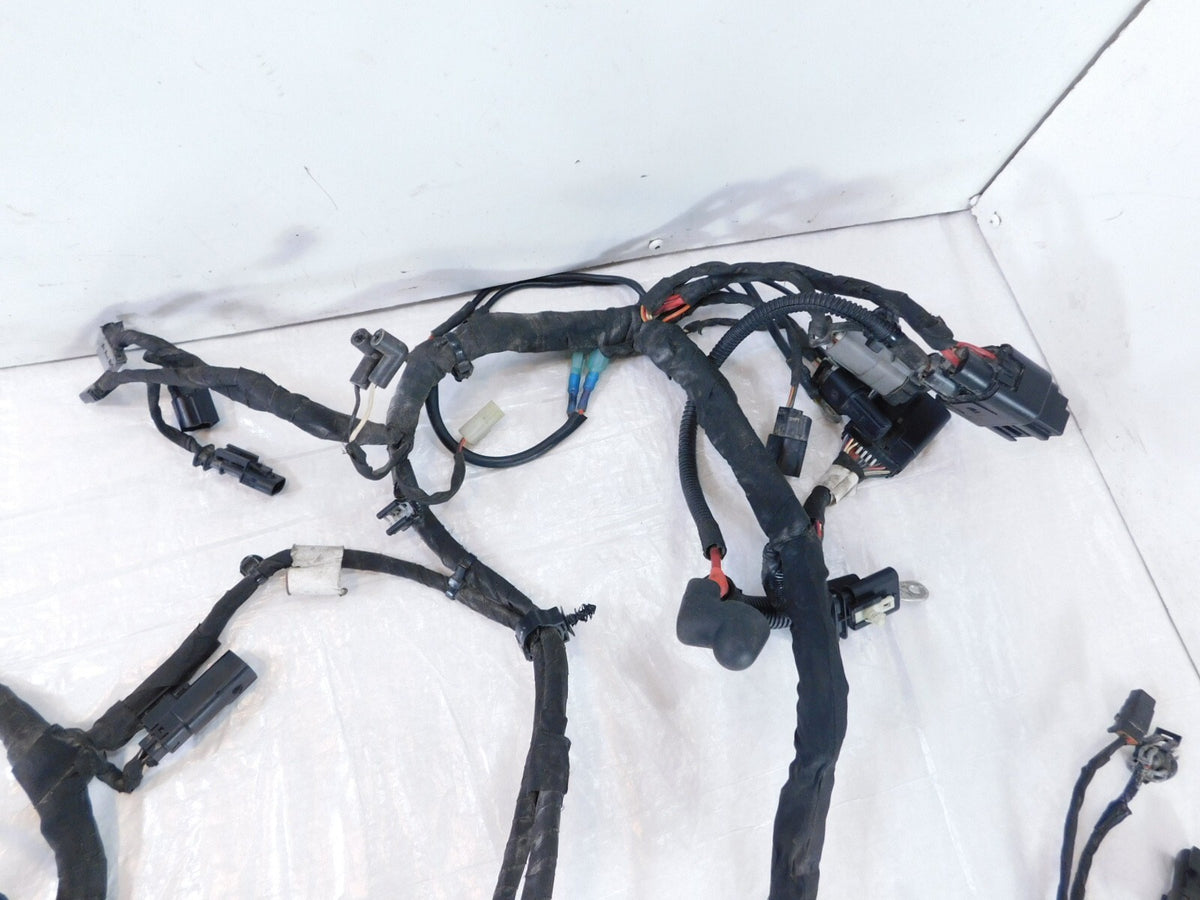 2018-2020 Harley Davidson Softail Low Rider & Fat Boy Main Wire Wiring Harness