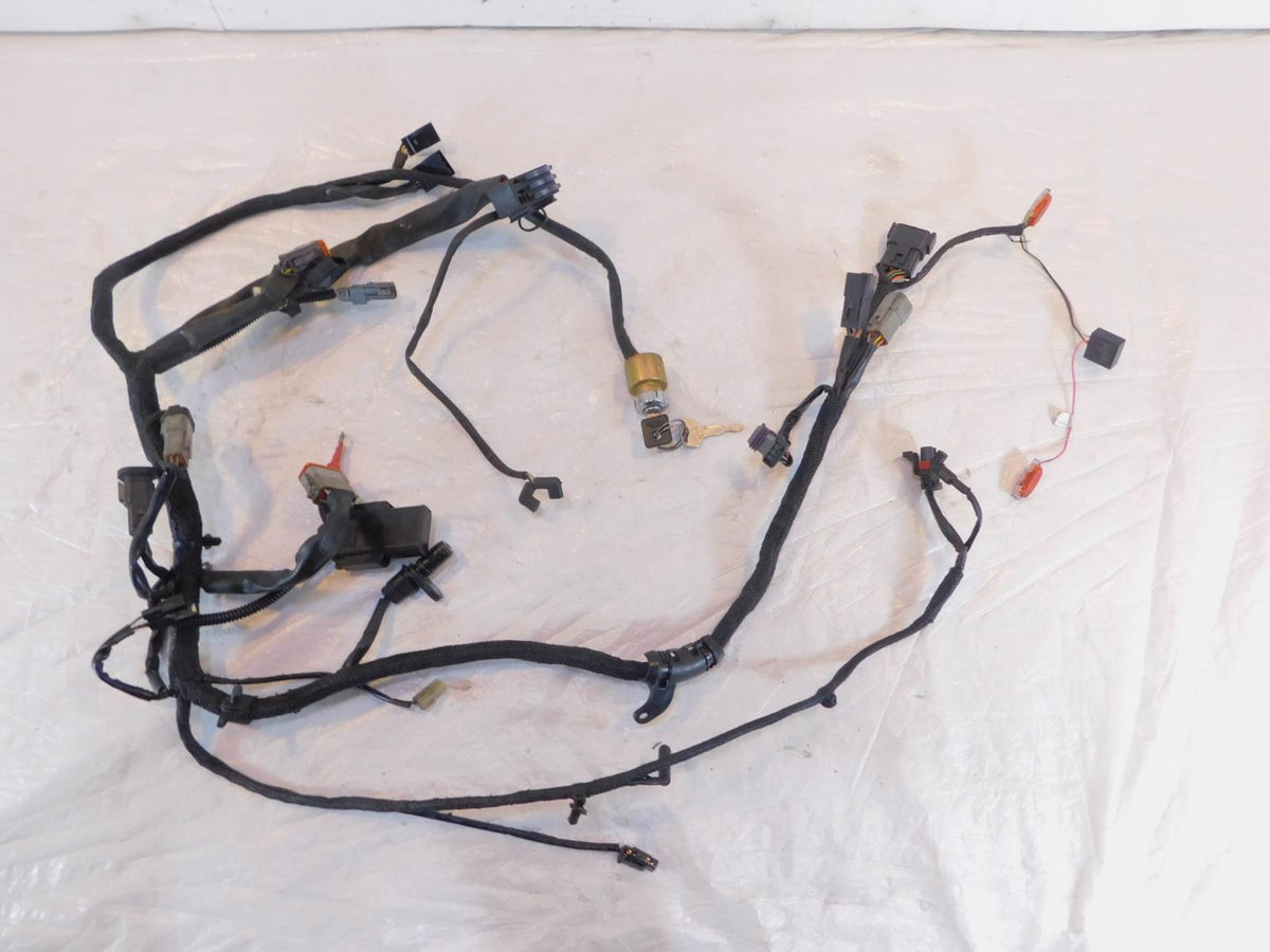 2005 Harley Davidson Sportster 883 & 1200 Wiring Wire Harness w/ Ignition Switch - C3 Cycle