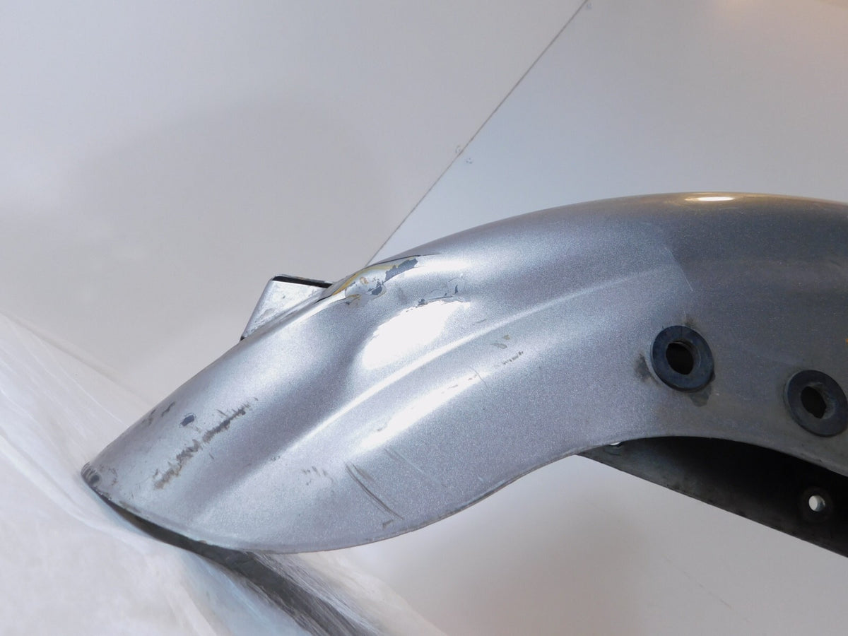 1994 1995 & 1996 Harley Davidson Sportster 883 & 1200 Silver Rear Wheel Fender - C3 Cycle