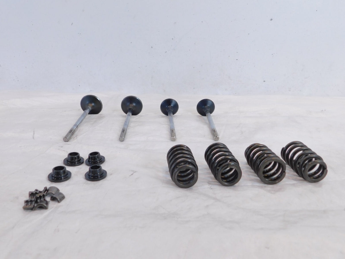 Victory Vision Kingpin & Vegas Exhaust & Intake Valves w/ Springs & Retainers - C3 Cycle
