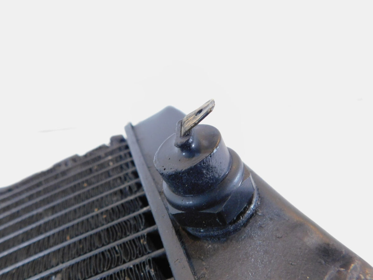 Honda CBR900RR CBR929RR FireBlade Engine Motor Water Cooling Coolant Radiator - C3 Cycle