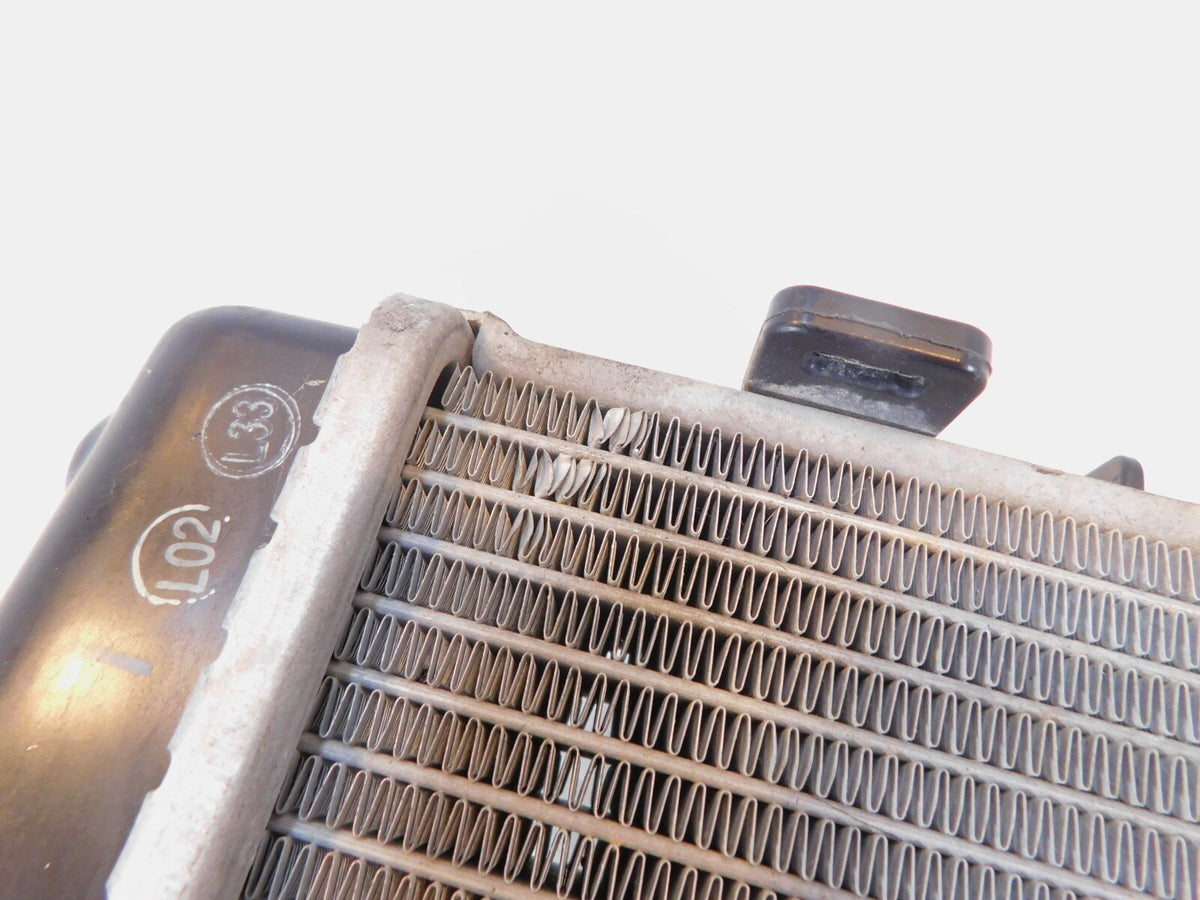 2019-2023 BMW F 900 R F900R F900XR Engine Motor Radiator Oil Cooling Cooler - C3 Cycle