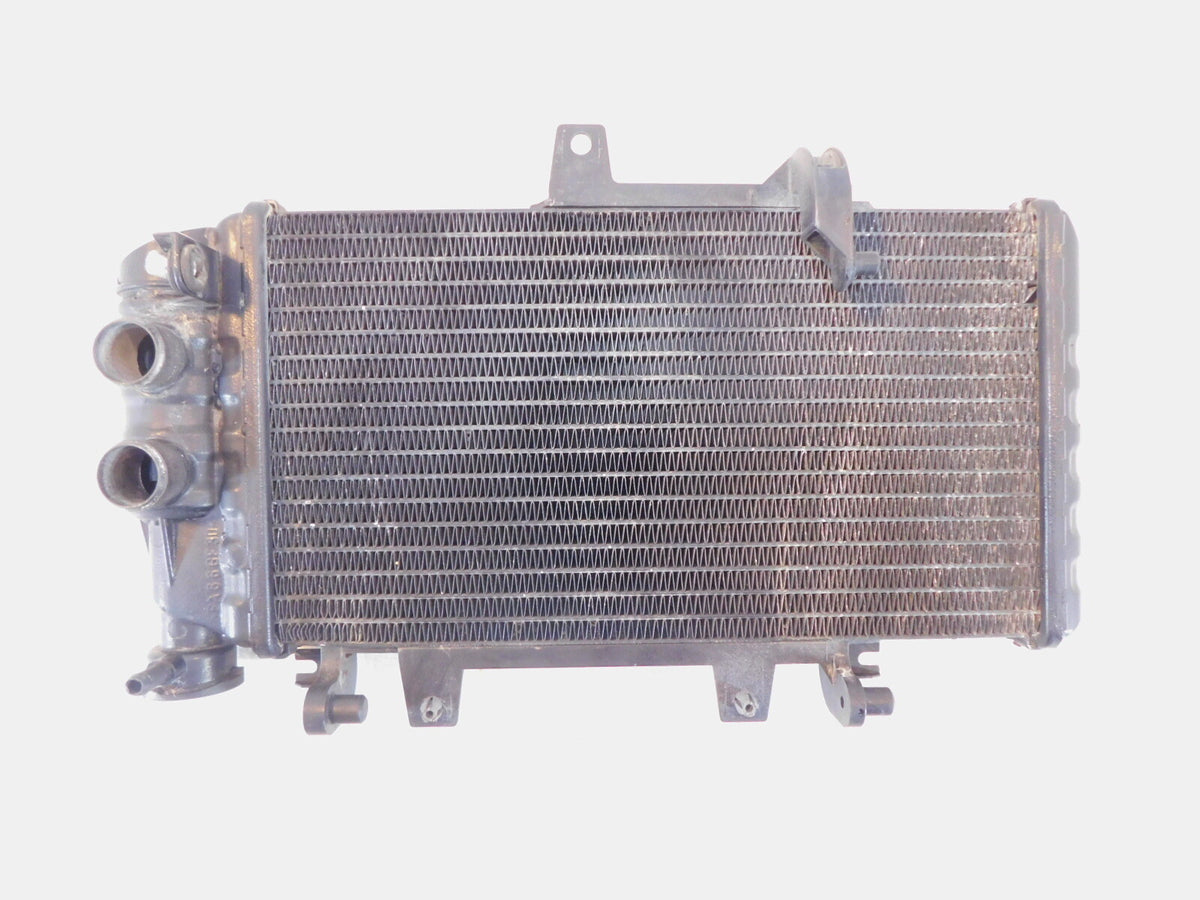 BMW F800 F800R F800S F800ST F700GS F650GS Engine Motor Water Cooling Radiator - C3 Cycle