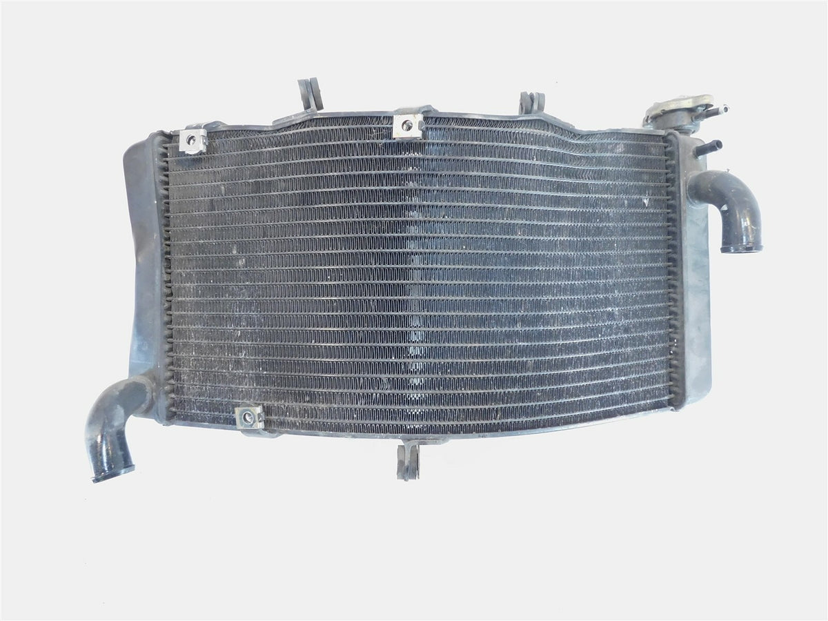 1998-1999 Honda CBR900RR CBR900 RR Front Engine Coolant Radiator Assembly - C3 Cycle