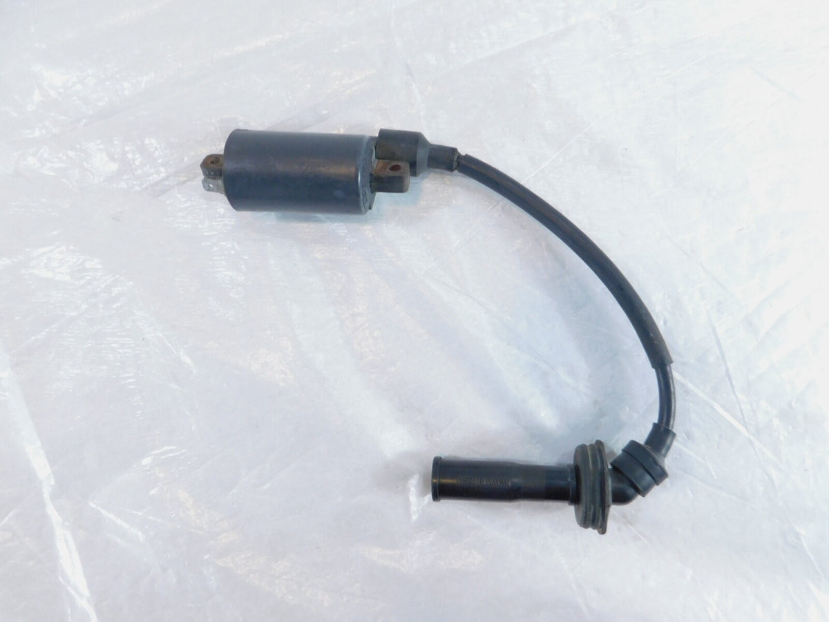 2002 MZ Skorpion Tour MZ660 660cc Engine Motor Ignition Coil w/ Spark Plug Cap