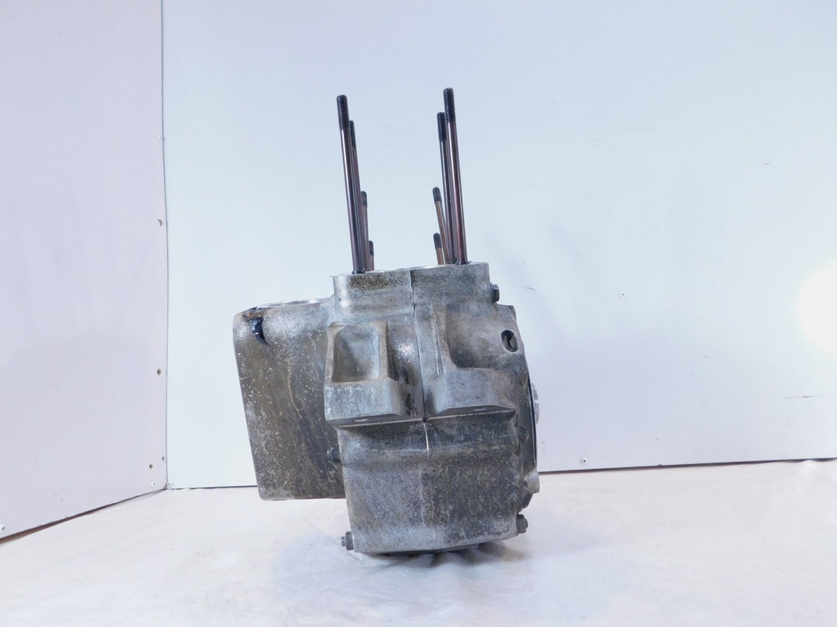 Indian Gilroy 99-01 Chief 02-03 Scout Spirit S&S Engine Motor Crankcase Cases - C3 Cycle