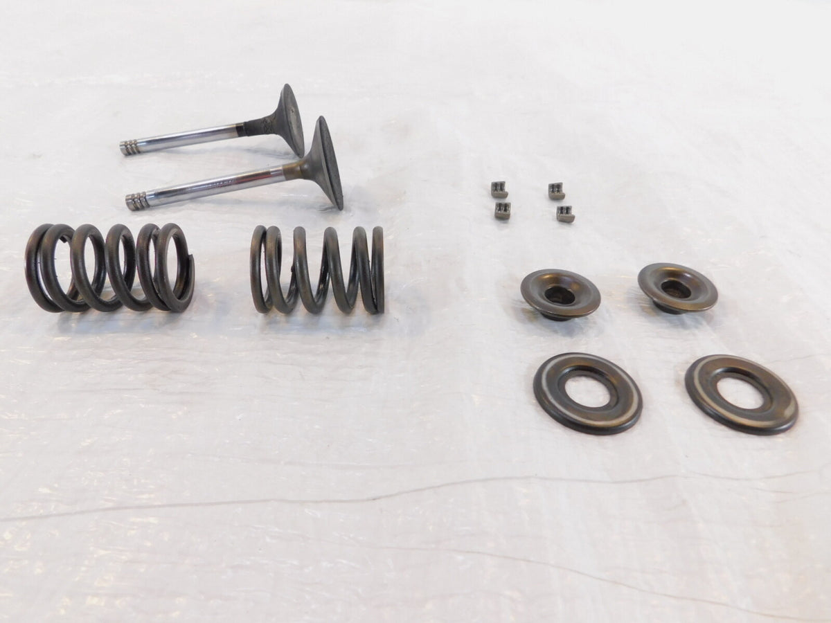 1979-1984 BMW Airhead R100CS R100RS R100/T Intake/Exhaust Valves Seats & Springs - C3 Cycle