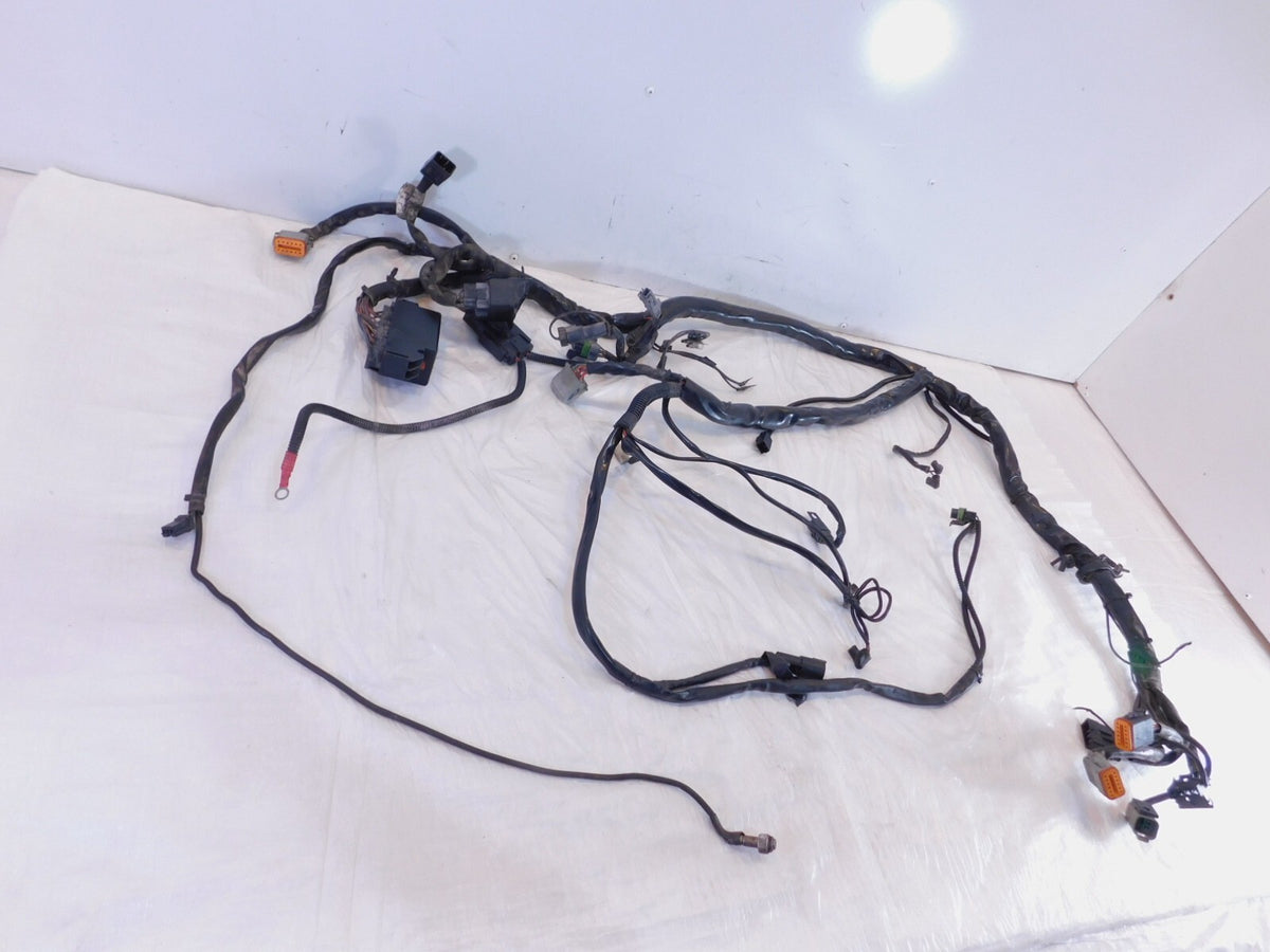2005 Harley Davidson Touring Road & Electra Glide Main Wiring Wire Harness Loom - C3 Cycle