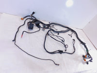 2005 Harley Davidson Touring Road & Electra Glide Main Wiring Wire Harness Loom - C3 Cycle
