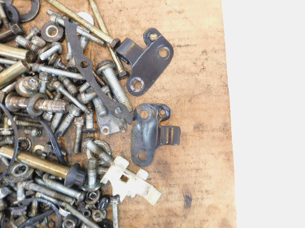 Harley Davidson Sportster XL1200 Custom Engine Nuts Bolts Brackets Parts Box Lot - C3 Cycle