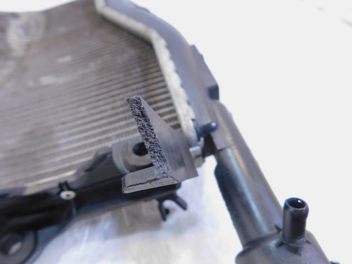2014-2019 BMW S1000-RR S1000RR HP4 Engine Motor Cooling Coolant Water Radiator - C3 Cycle