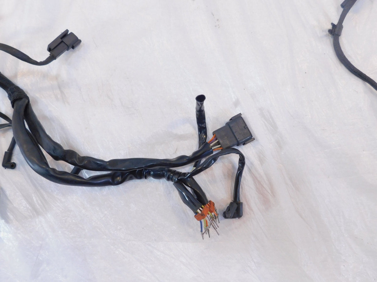 1999-2003 Harley Davidson EVO Sportster 883 1200 Main Wiring Turn Signal Harness - C3 Cycle