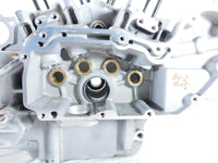 Harley Davidson Sportster 883 & 1200 Silver Crankcase Cases Engine Motor Block - C3 Cycle