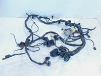 2002 2003 2004 Triumph Sprint 955 ST Main Wire Wiring Harness Loom - C3 Cycle