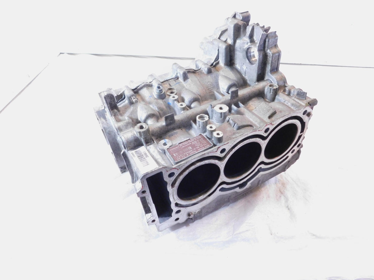 2019-2024 Can-Am Ryker 900 ACE Rally Sport Engine Motor Block Cylinder Crankcase - C3 Cycle