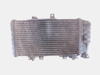 BMW F800 F800R F800S F800ST F700GS F650GS Engine Motor Water Cooling Radiator - C3 Cycle