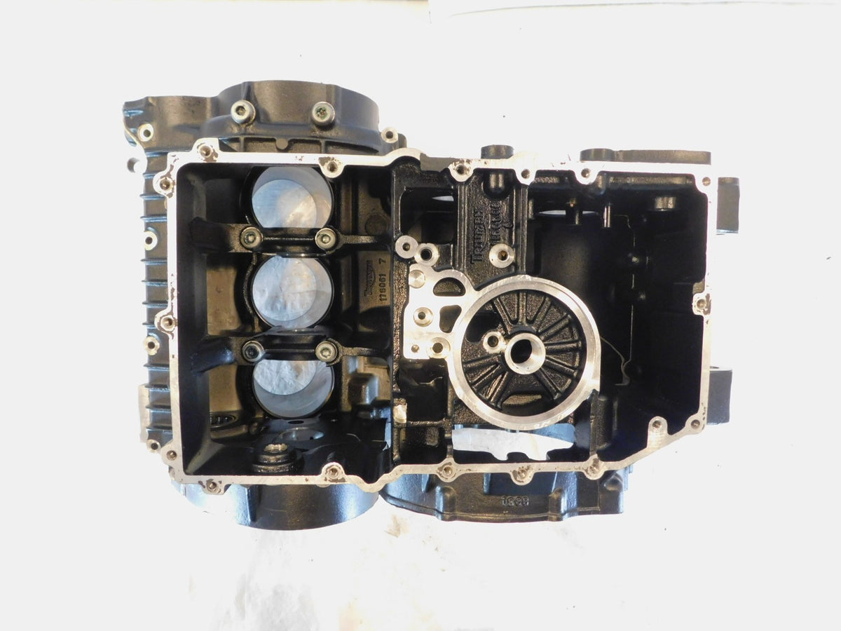 Triumph Legend TT Thunderbird Sport Engine Block Motor Crankcase Crank Case - C3 Cycle