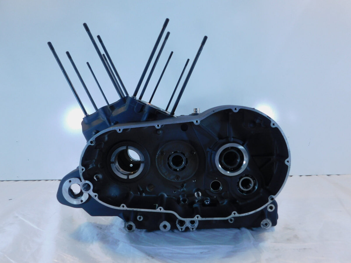 Polaris Victory Gunner Hammer Vision Vegas Engine Motor Black Crankcase Cases - C3 Cycle