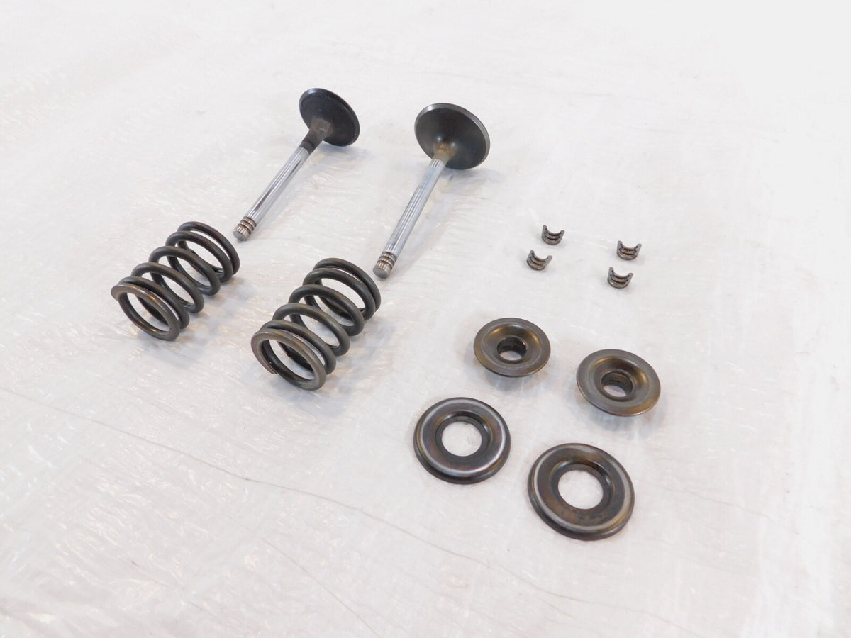 1979-1984 BMW Airhead R100CS R100RS R100/T Intake/Exhaust Valves Seats & Springs - C3 Cycle