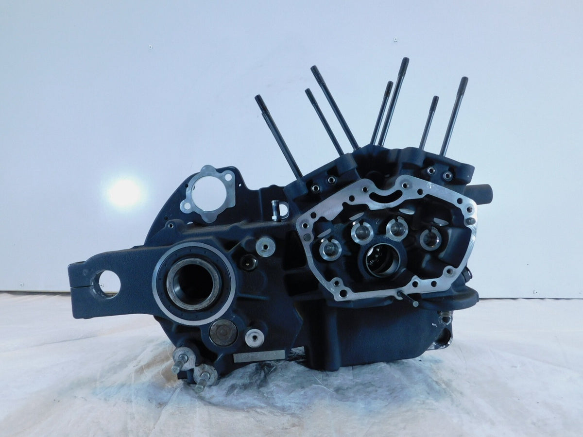 2009-10 Buell XB XB9 XB12 Firebolt Lighting Ulysses Engine Crankcase Crank Cases - C3 Cycle