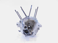 Indian Gilroy 99-01 Chief 02-03 Scout Spirit S&S Engine Motor Crankcase Cases - C3 Cycle