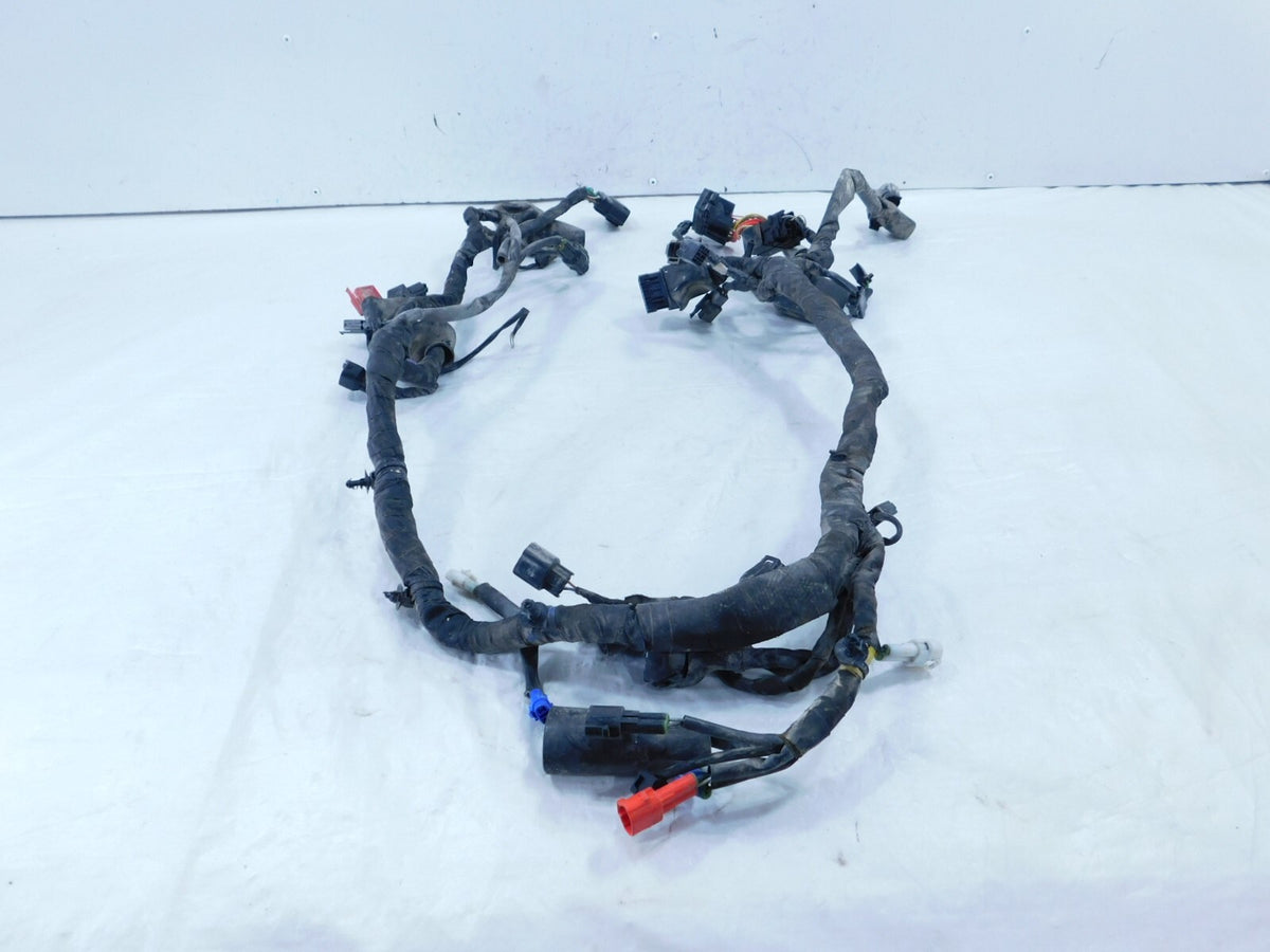 2021 21 Royal Enfield Himalayan 410 LS410 USA Main Wire Harness Wiring Loom - C3 Cycle
