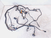2001 & 2002 Buell M2 Cyclone Main Wire Wiring Harness Assembly Y0200.01A3 - C3 Cycle
