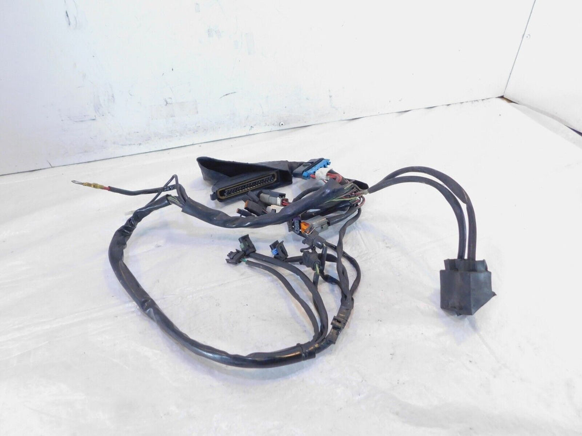 Harley Davidson Electra Glide Classic & Ultra Classic Fuel Injection EFI Harness - C3 Cycle