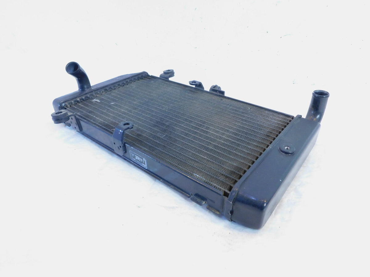 2002-2013 Honda FSC600 Silver Wing 600 Engine Motor Cooling Coolant Radiator - C3 Cycle