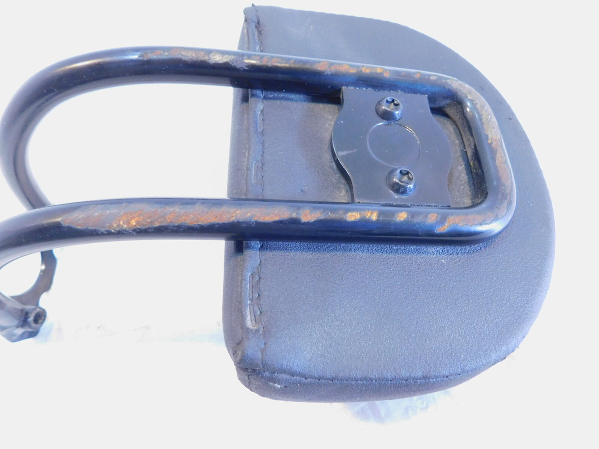 Harley Davidson Sportster S 1250 RH1250S Sissybar Rear Passenger Backrest