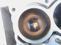 2019 2020 2021 2022 Can-Am Ryker 900 Rally Engine Motor Block Cylinder Crankcase - C3 Cycle