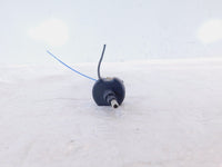 2003 Buell XB XB9 XB9S Lightning XB9R Firebolt Engine Temperature Sensor Switch - C3 Cycle
