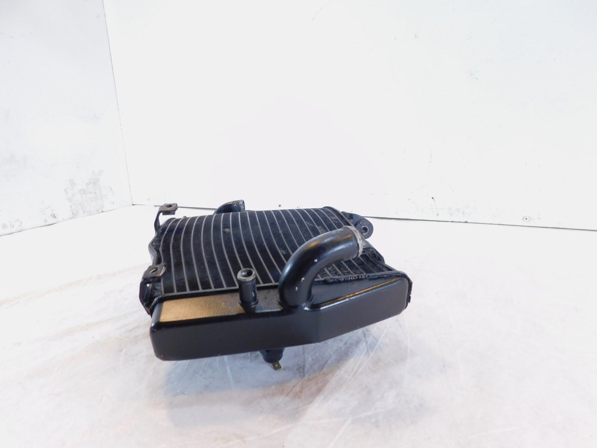 Honda CBR900RR CBR929RR FireBlade Engine Motor Water Cooling Coolant Radiator - C3 Cycle