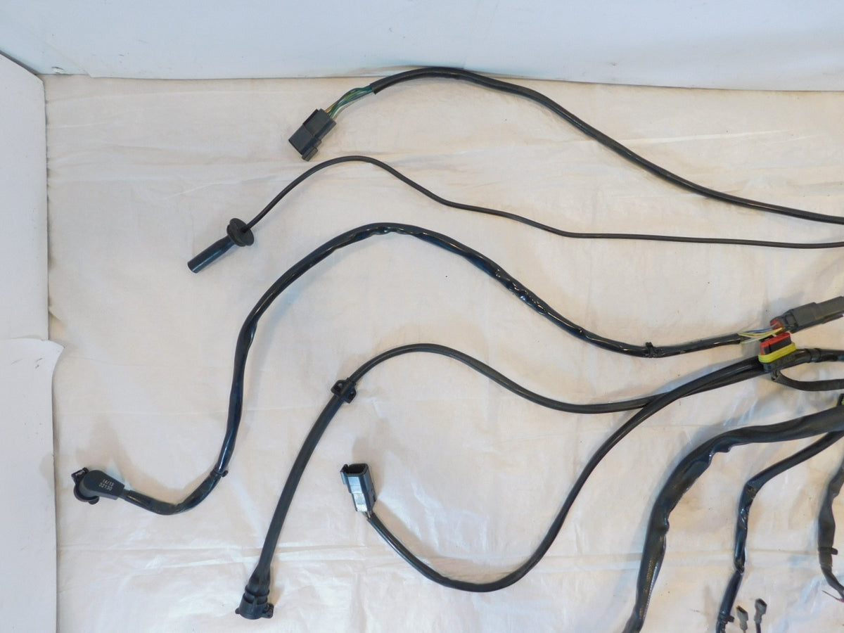 Harley Davidson Touring Road Street & Electra Glide Main Wire Wiring Harness - C3 Cycle