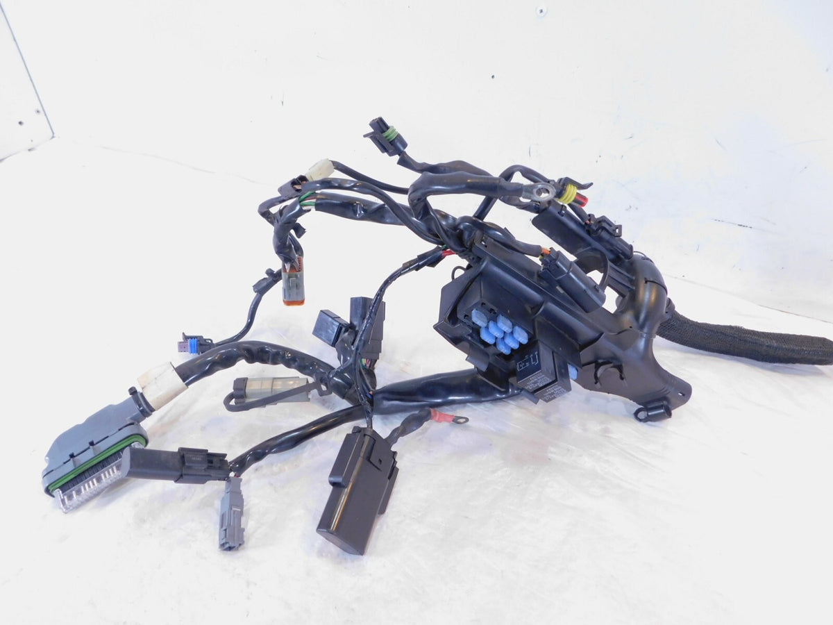 2009 09 Harley Davidson Sportster 883 & 1200 Main Wire Wiring Harness - No Key