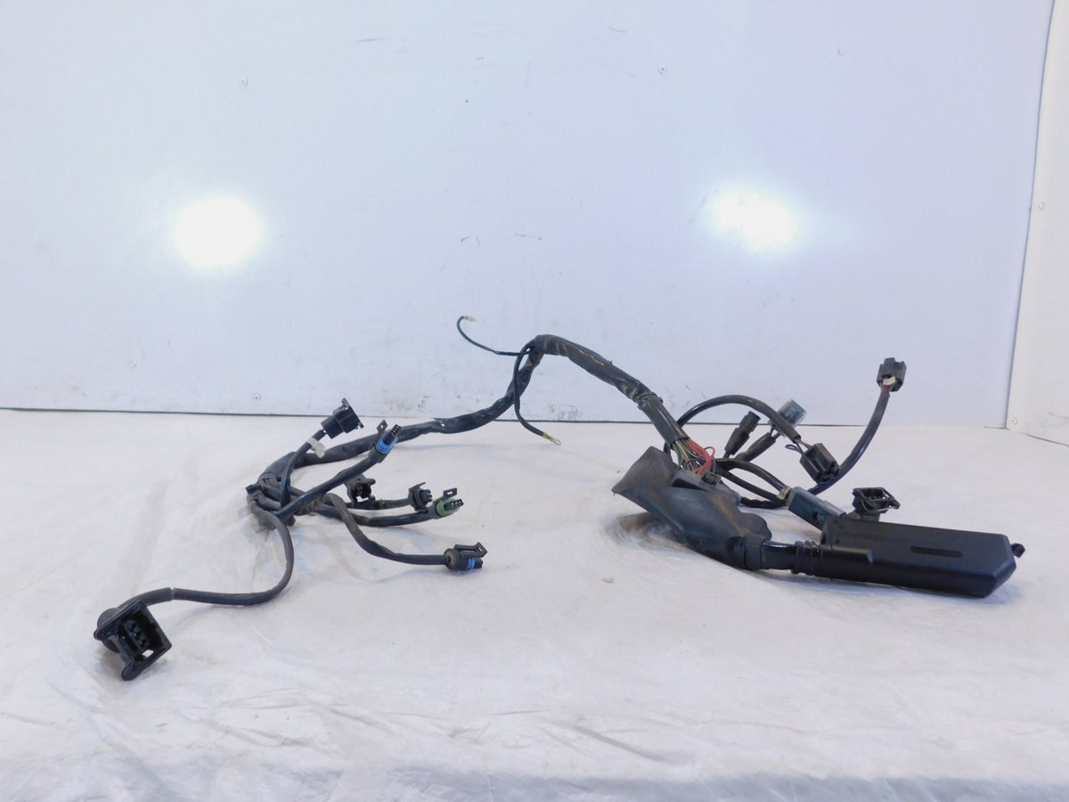 Harley Davidson Electra Glide Ultra Classic EFI Fuel Injection Wiring Harness - C3 Cycle