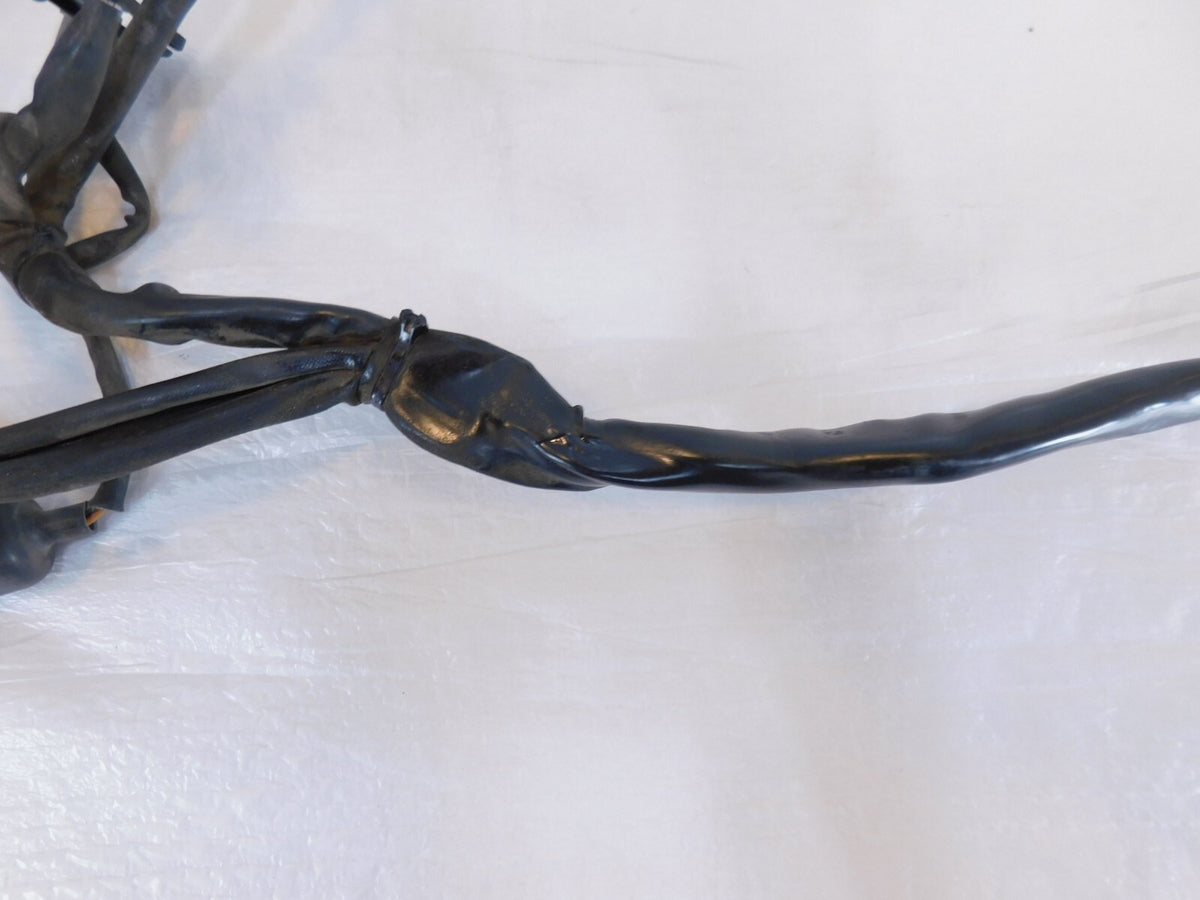 2004 2005 Harley Davidson Road King & Electra Glide EFI ECM Wire Wiring Harness - C3 Cycle