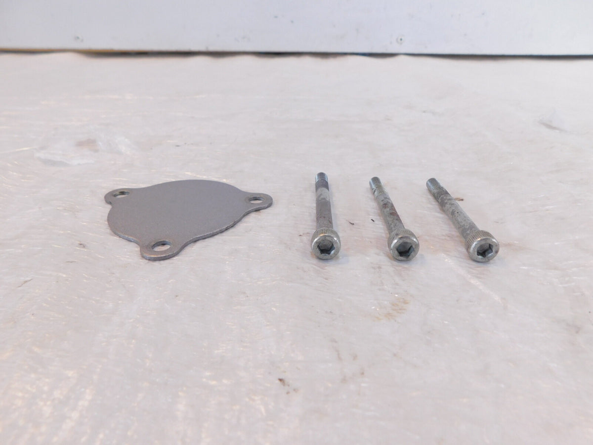 1991-1993 Honda Nighthawk 750 CB750 Silver Engine Left Side Cover Plate & Screws - C3 Cycle