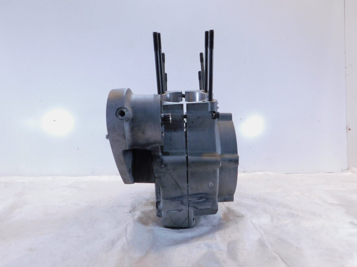 Buell M2 Cyclone S3 Thunderbolt & X1 Lightning Engine Motor Crankcases Cases