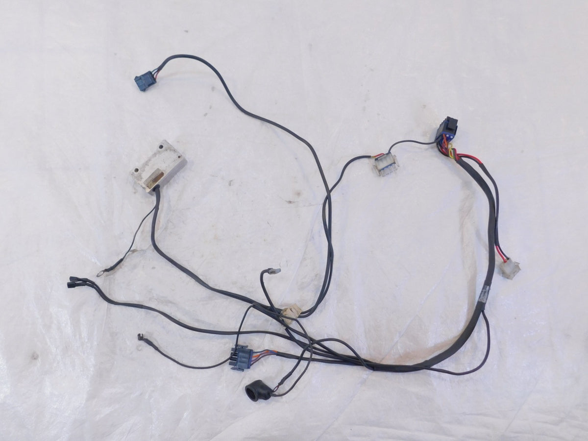 2002-2003 Indian Gilroy Scout Spirit Engine Wire Wiring Harness Ignition Module - C3 Cycle