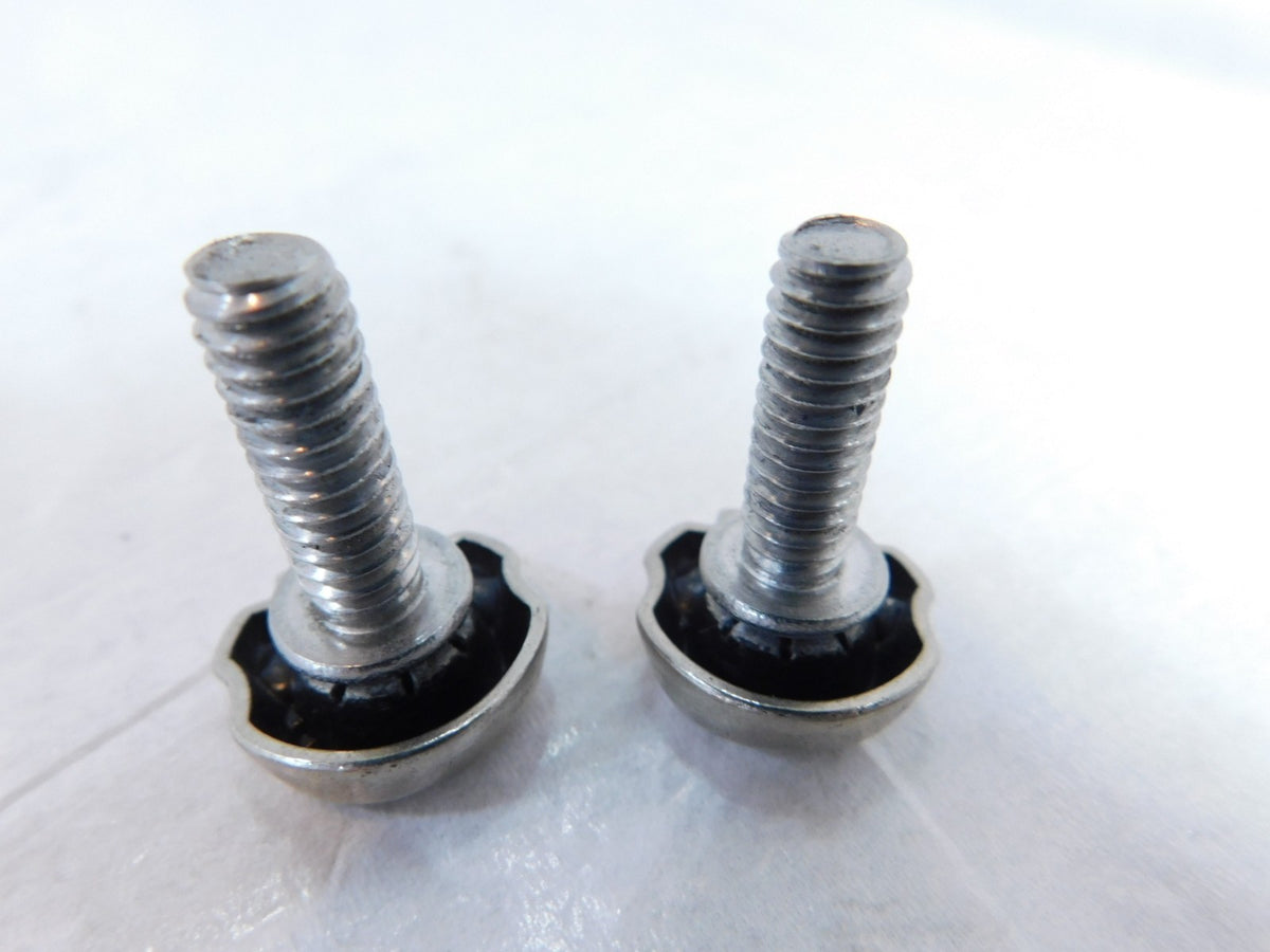 Harley Davidson Sportster Dyna Softail & Touring Licence Plate Skull Head Screws - C3 Cycle